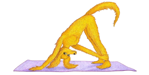 Doogle doing some sport